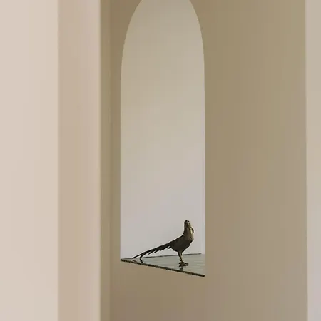 شقة Casa Doora - Architectural Mid-century With Pool, Walk To *
